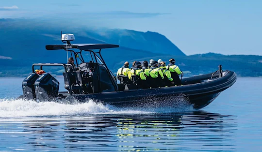 Mostraumen fjord safari tour in a premium RIB boat