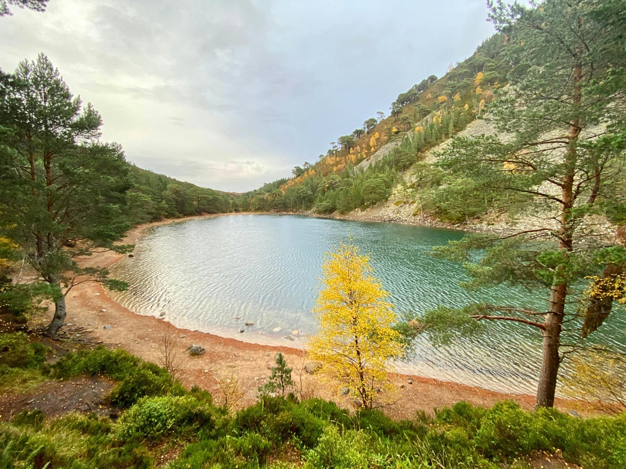 Excursión guiada a pie por los Cairngorms desde Edimburgo