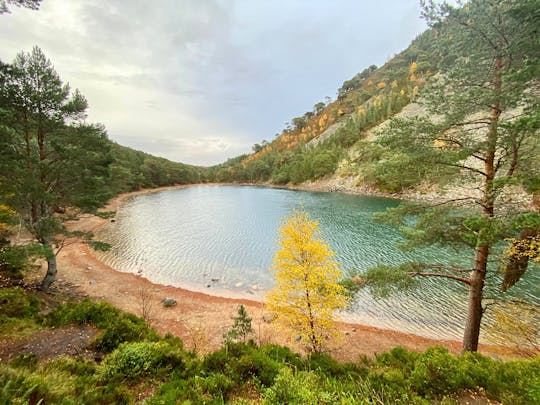 Guided walking tour through Cairngorms from Edimburgh