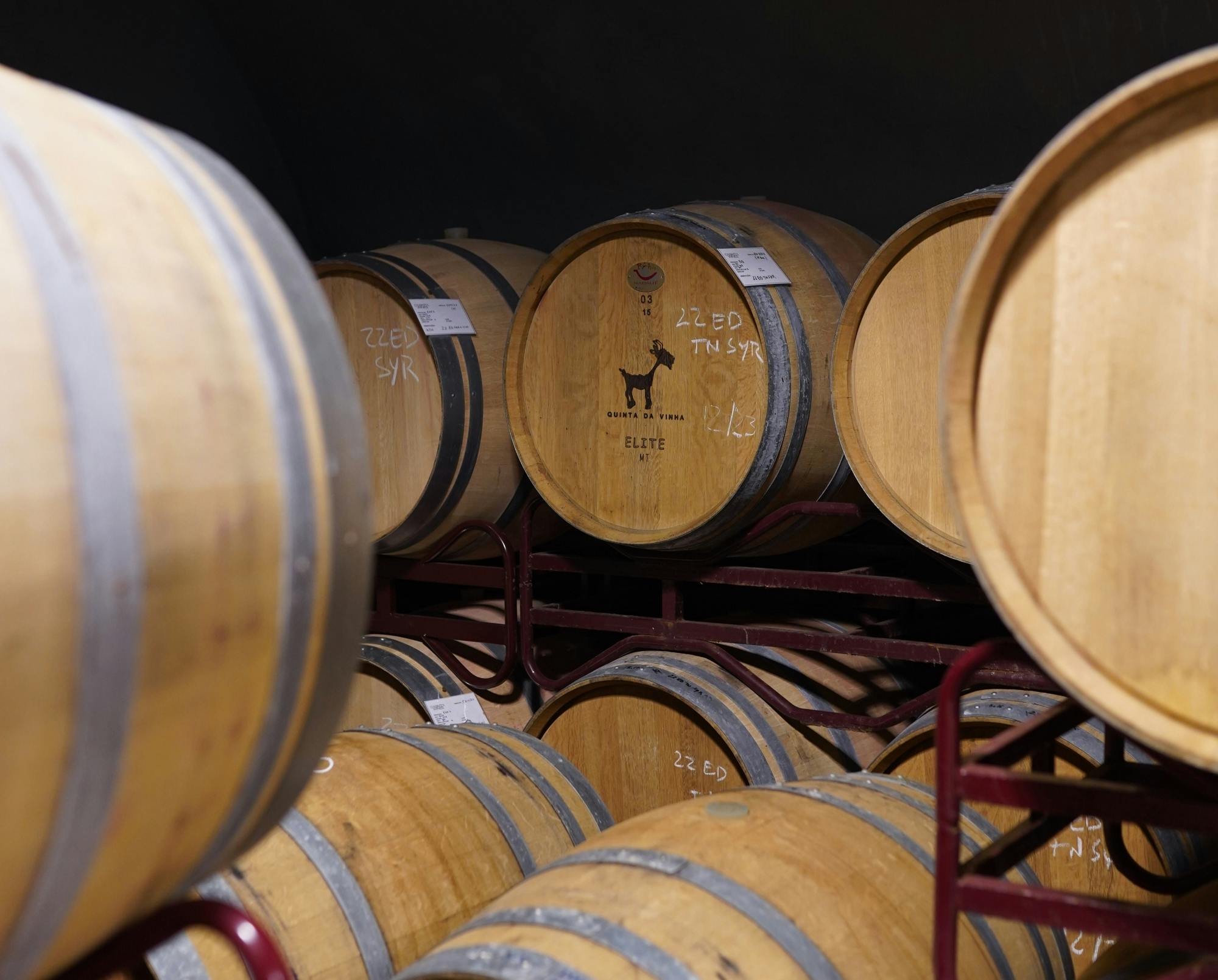 Algarve coastal tour with wine-tasting