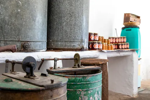 Traditional Algarve tour