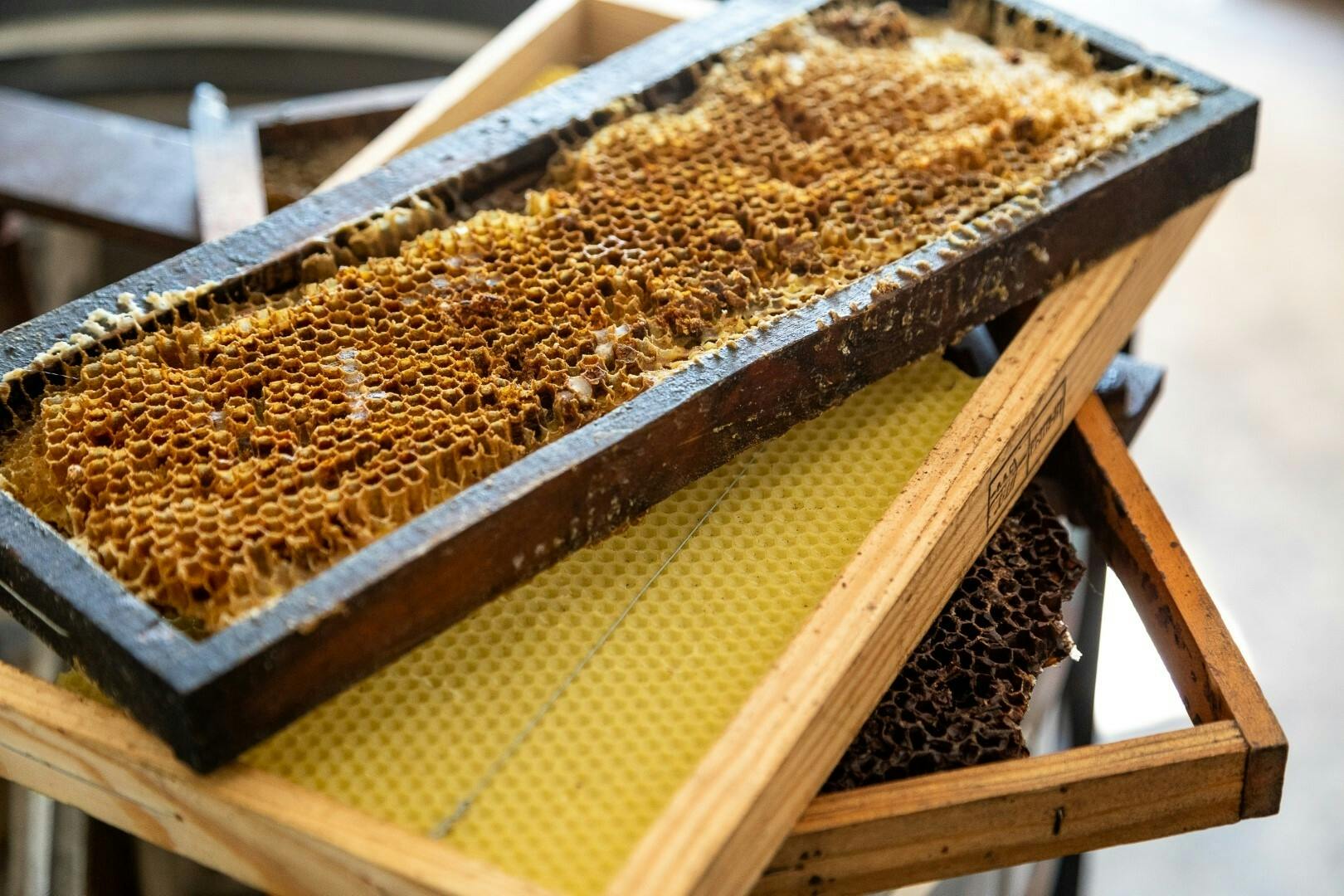 Traditional Algarve tour