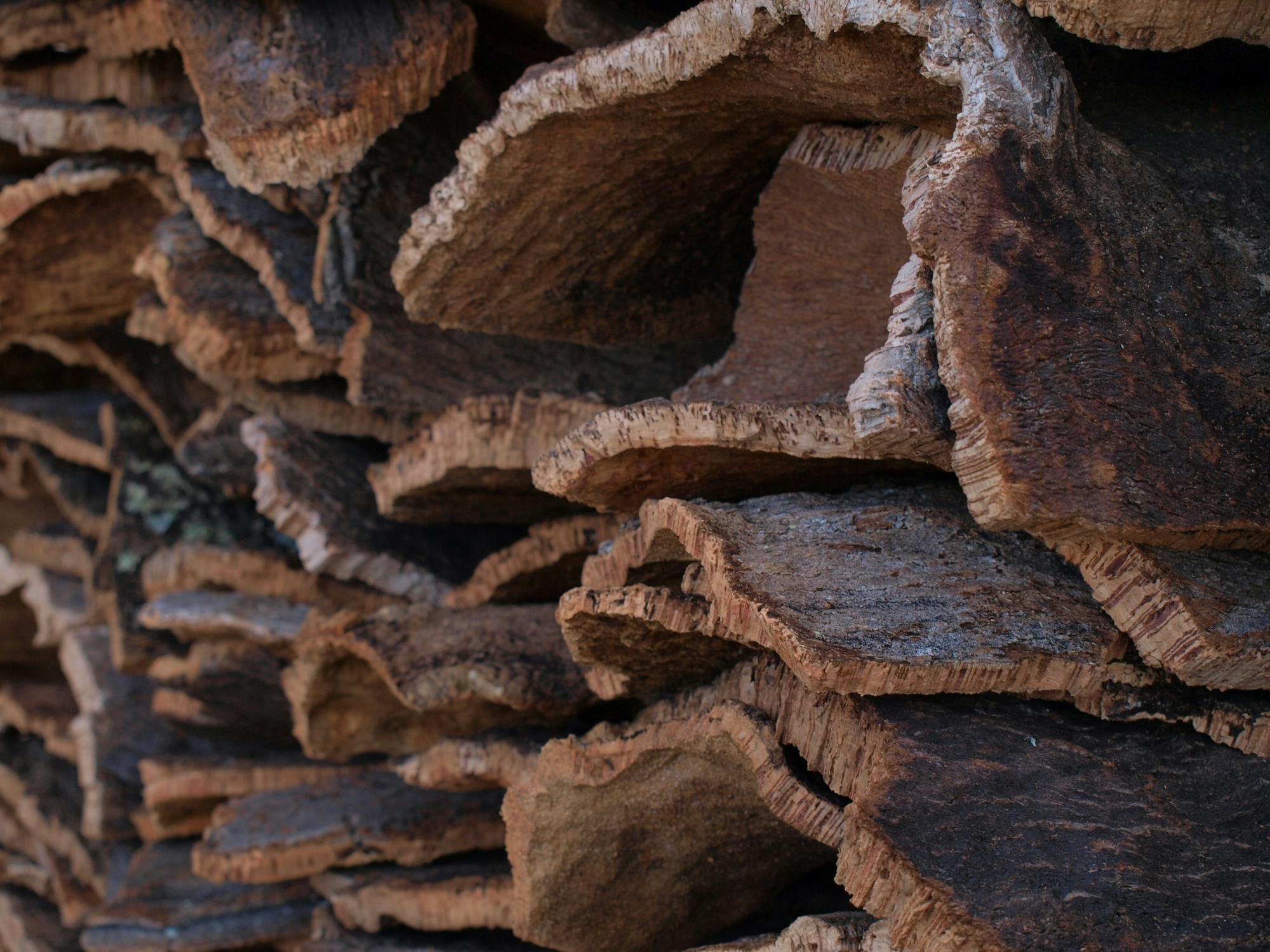 Traditional Algarve tour