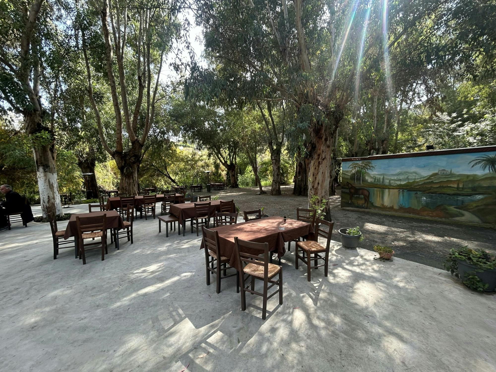 Mountain villages with lunch and honey-tasting from Ayia Napa and Protaras