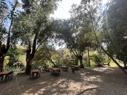 Mountain villages with lunch and honey-tasting from Ayia Napa and Protaras