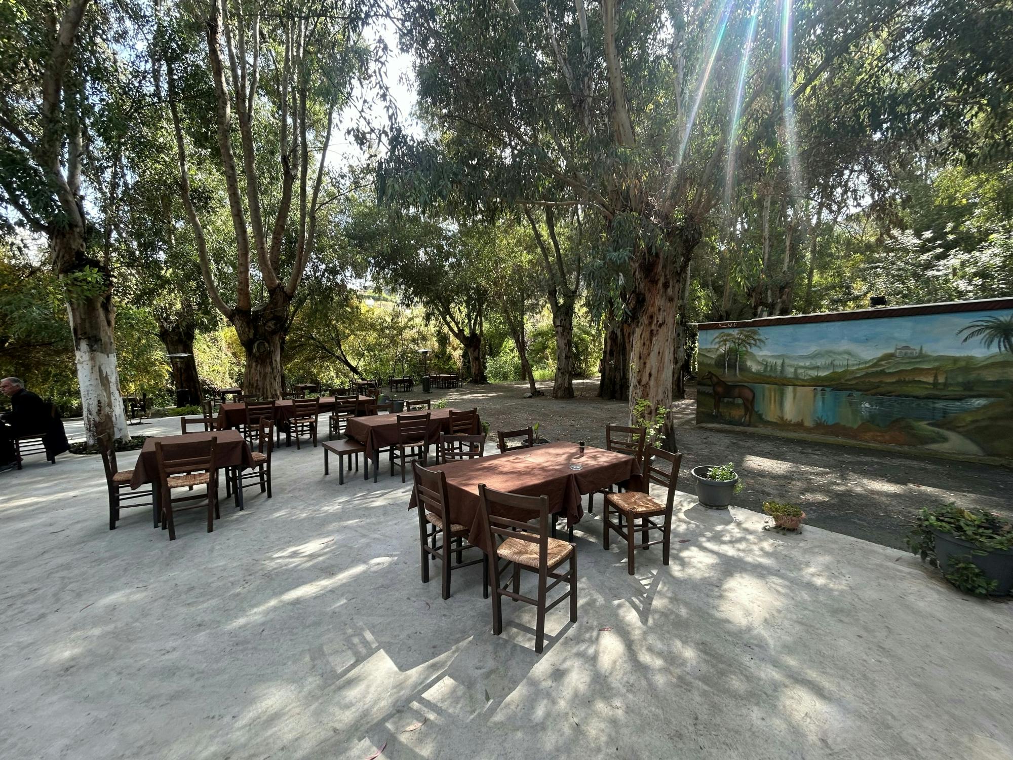 Mountain villages with lunch and honey-tasting from Ayia Napa and Protaras