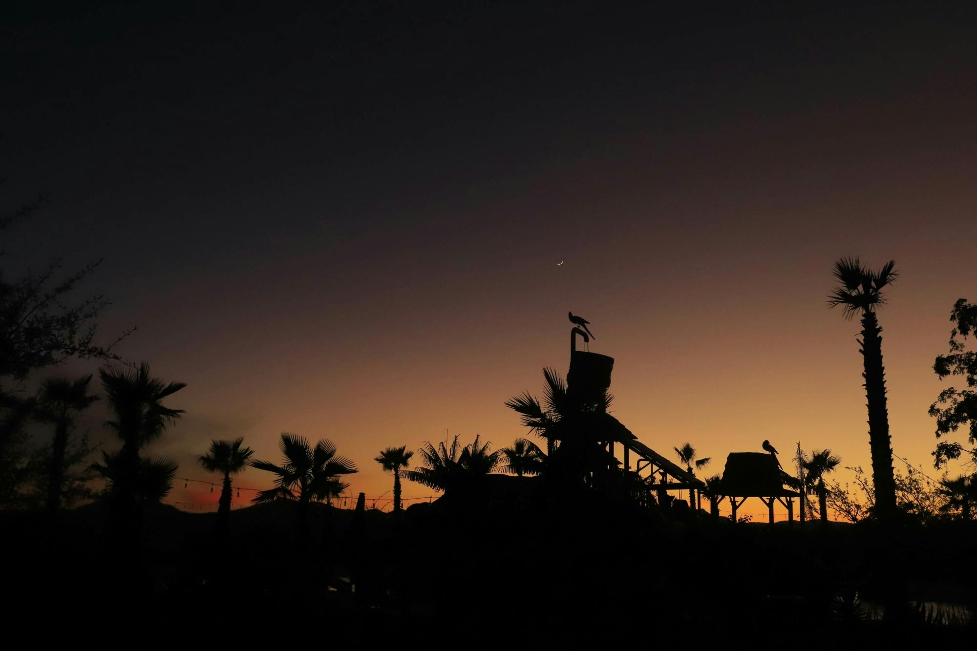 Les UTV de Los Cabos au coucher du soleil et les tyroliennes au clair de lune