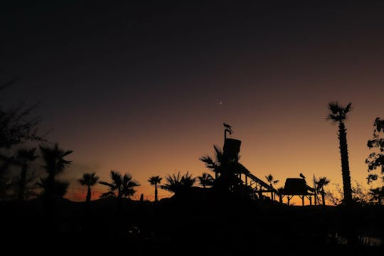 Los Cabos zonsondergang UTV's en ziplines bij maanlicht