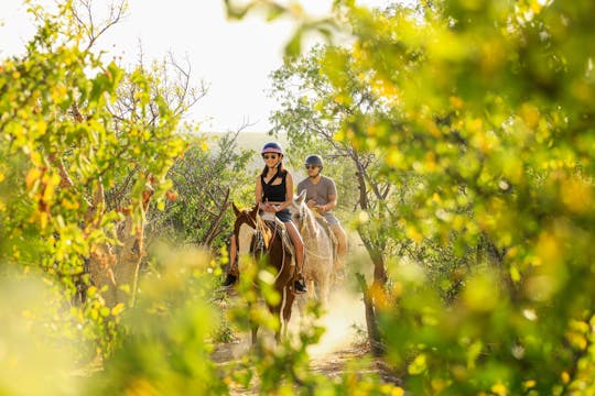 L'expérience totale du Wild Canyon Park