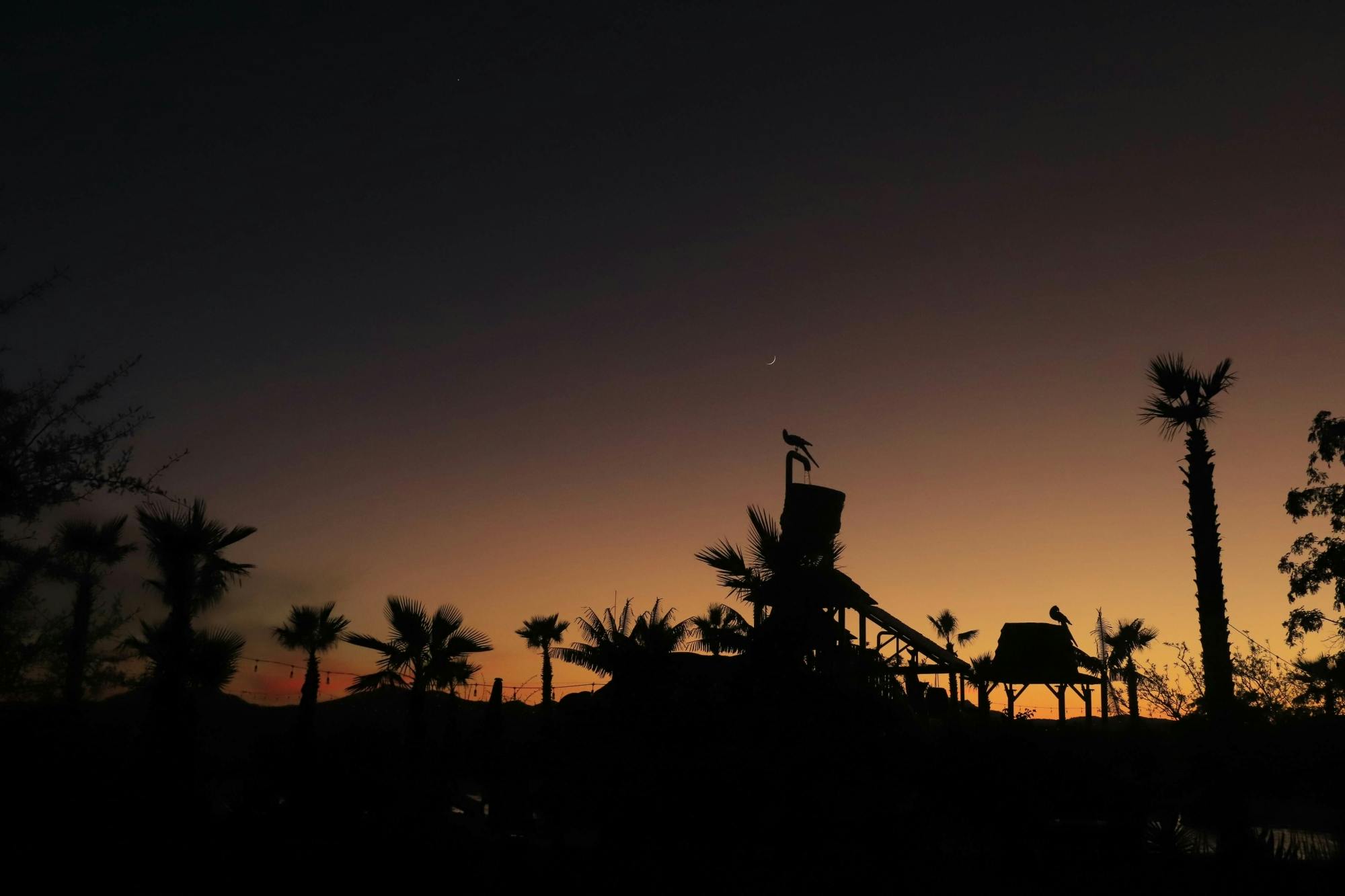 Los Cabos sunset UTVs and moonlight ziplines