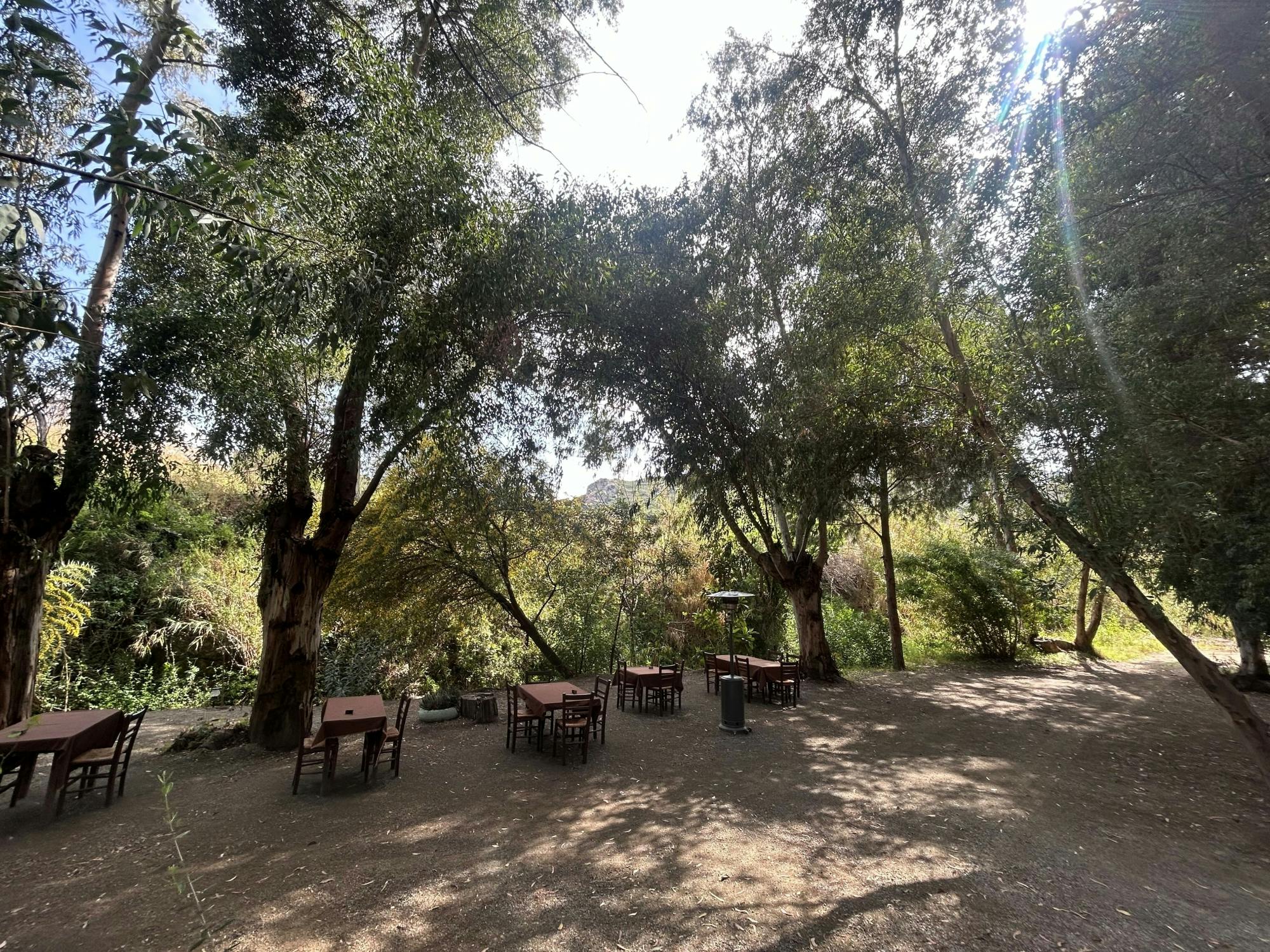 Mountain villages with lunch and honey-tasting from Ayia Napa and Protaras