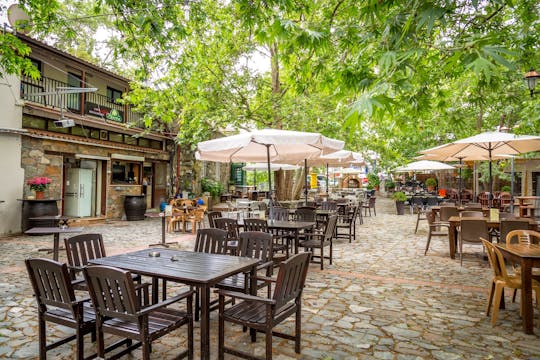 Mountain villages with lunch and honey-tasting from Ayia Napa and Protaras