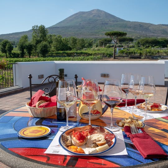 Visita às vinhas do Vesúvio com prova de vinhos e almoço local