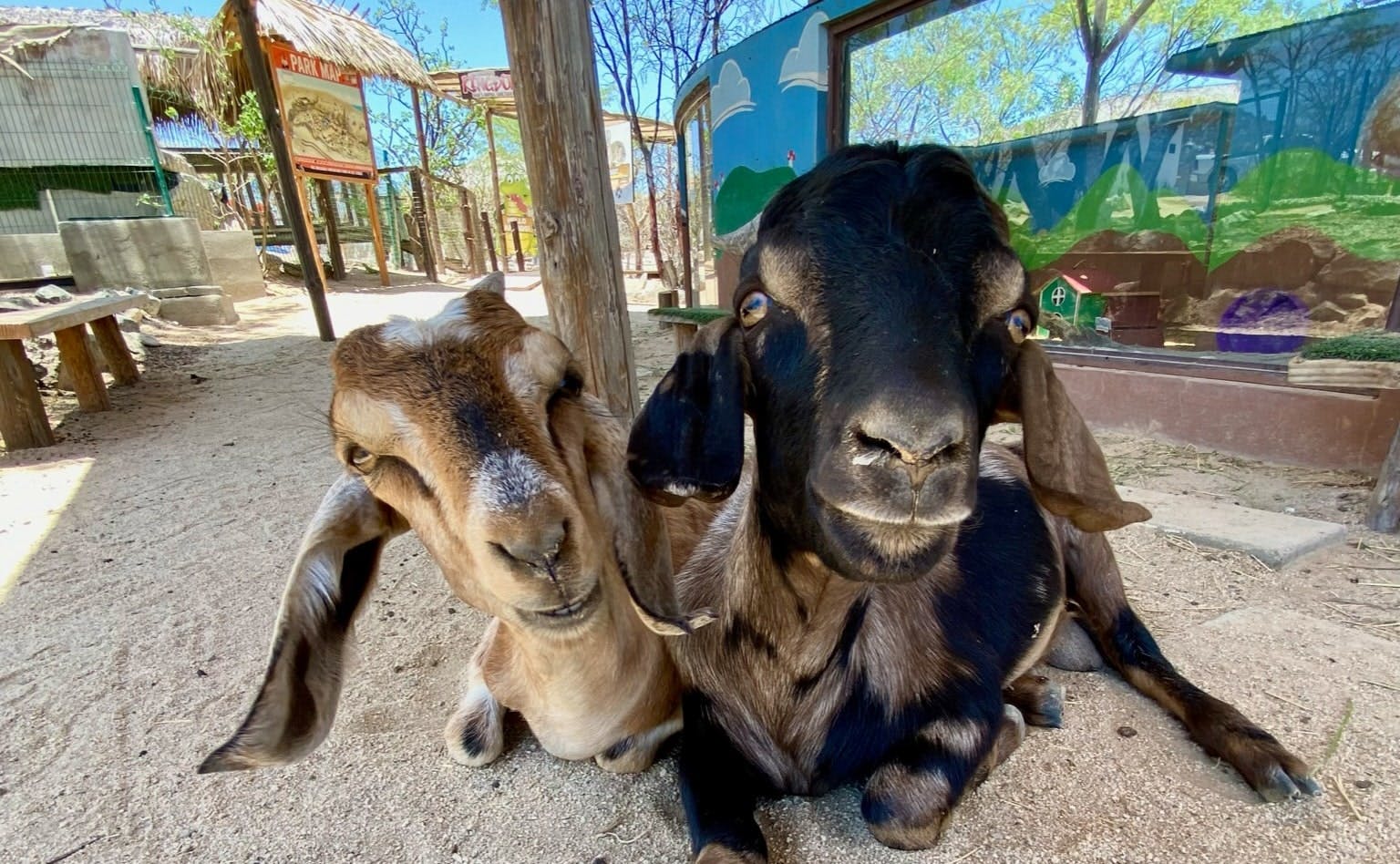Wild Canyon off-road UTV adventure in Los Cabos