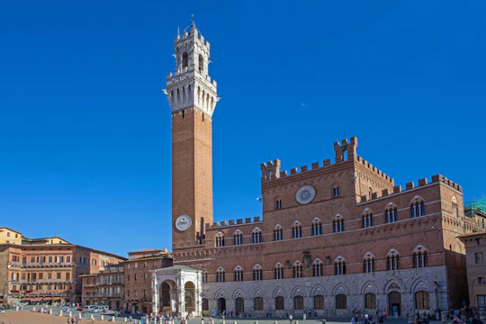 Entry ticket to Siena Civic Museum at Palazzo Pubblico