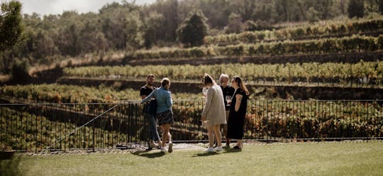Wine experience in the northeast of Etna