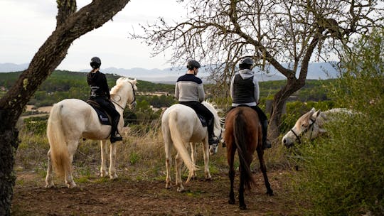 Zonsondergang te paard met drankjes op Mallorca
