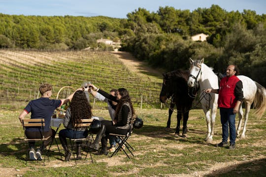 Paardrijden en traditionele picknick op Mallorca