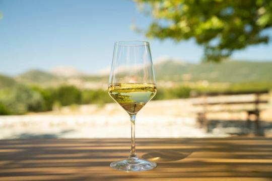 Guided wine tour in Kefalonia's vineyards and wineries