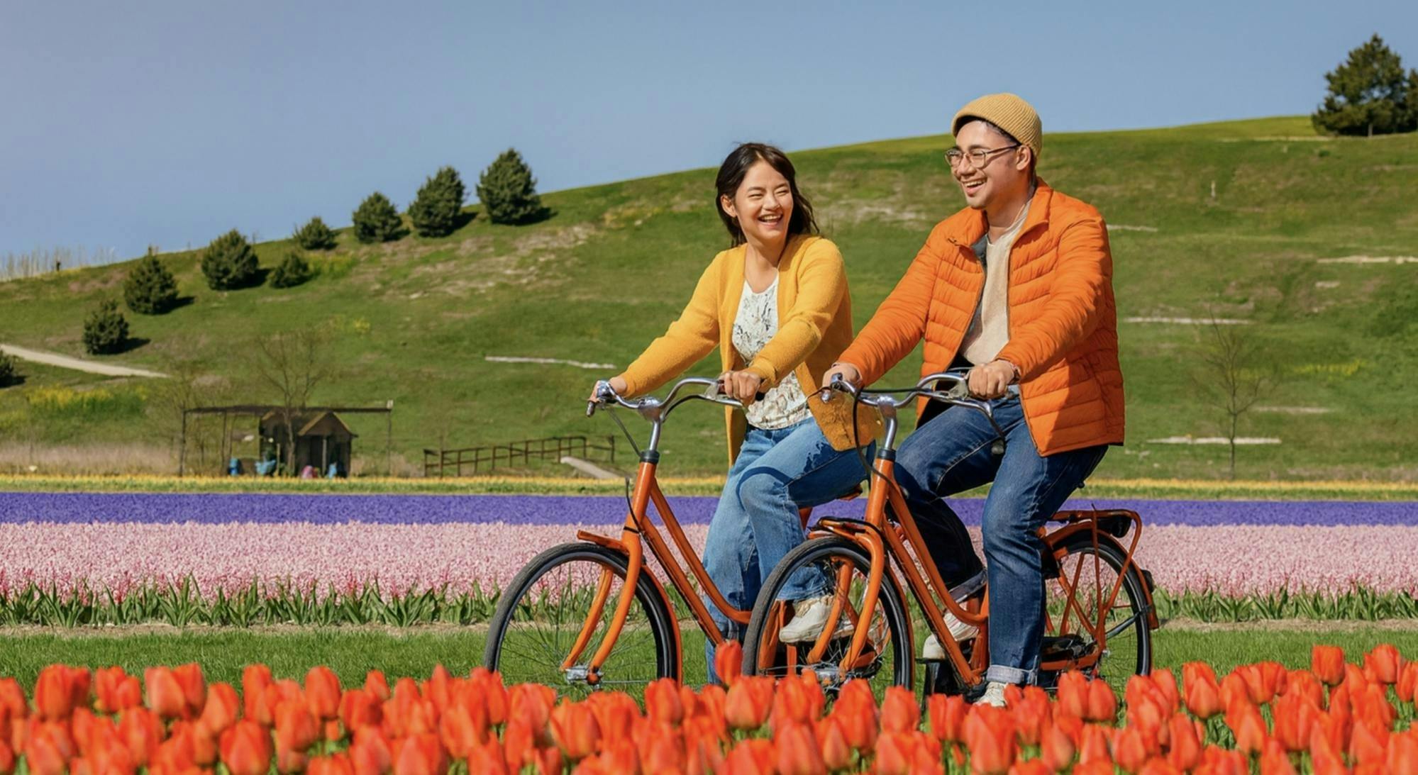 Wycieczka rowerowa po polach tulipanów w pobliżu Keukenhof z transferem i cyfrowym przewodnikiem