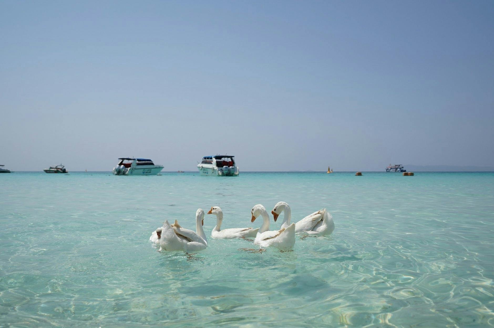 Full-day island tour with drone photos from Bangkok