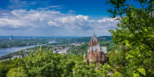 Rhine sightseeing cruise with live German guide