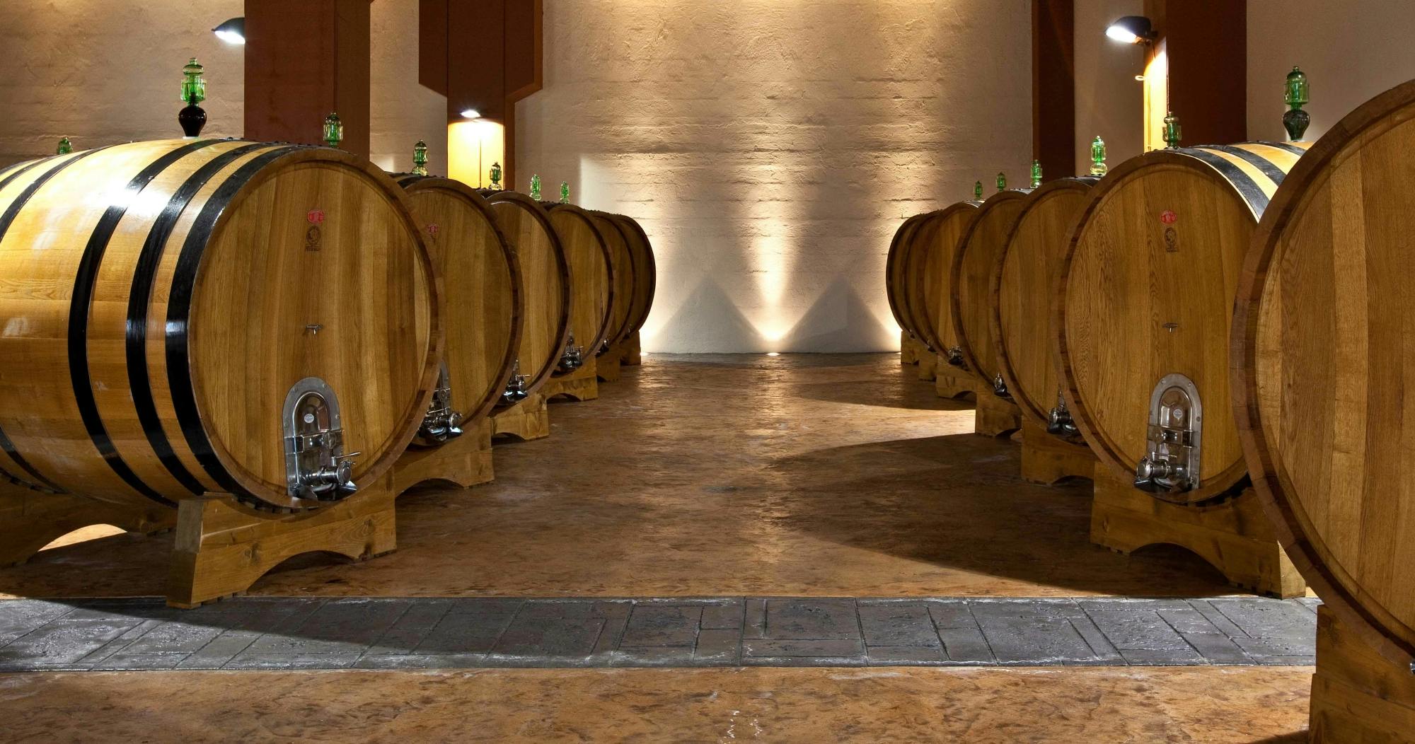 Mount Etna wine-tasting experience