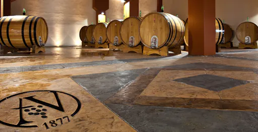 Mount Etna wine-tasting experience