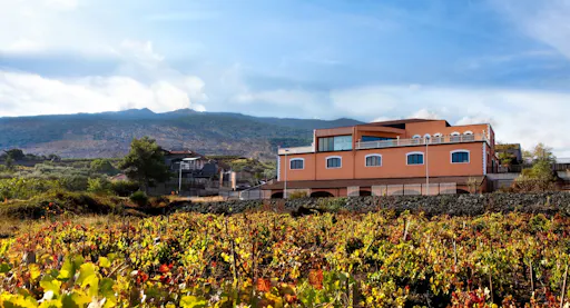 Mount Etna wine-tasting experience