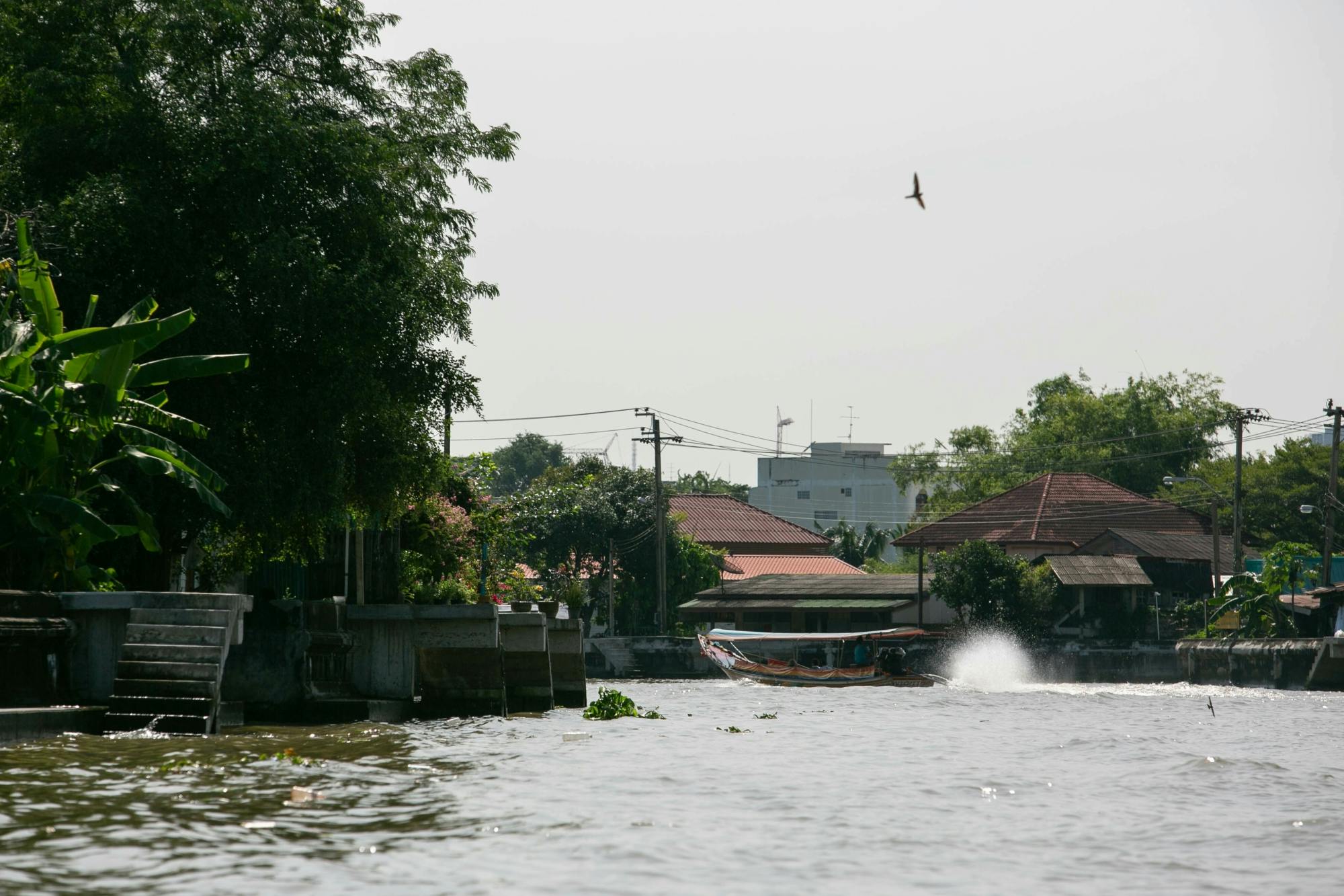Bangkok Canal, temples and Grand Palace tour