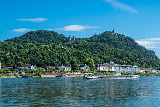 Cruise from Bonn Harbour to Königswinter with German live guide