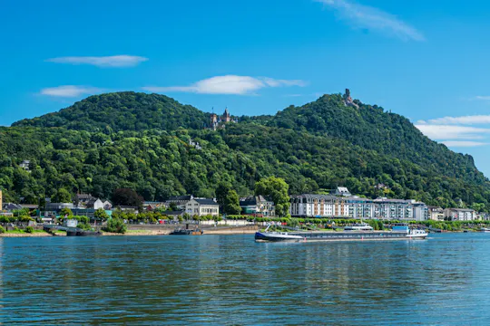 Cruise from Bonn Harbour to Königswinter with German live guide