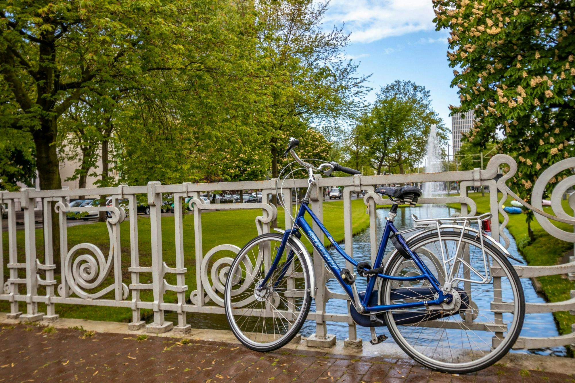 Melhor tour introdutório de Roterdã com um local