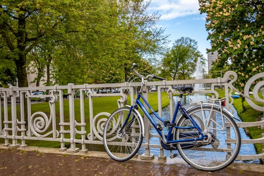 Najlepsza wycieczka wprowadzająca po Rotterdamie z lokalnym - 