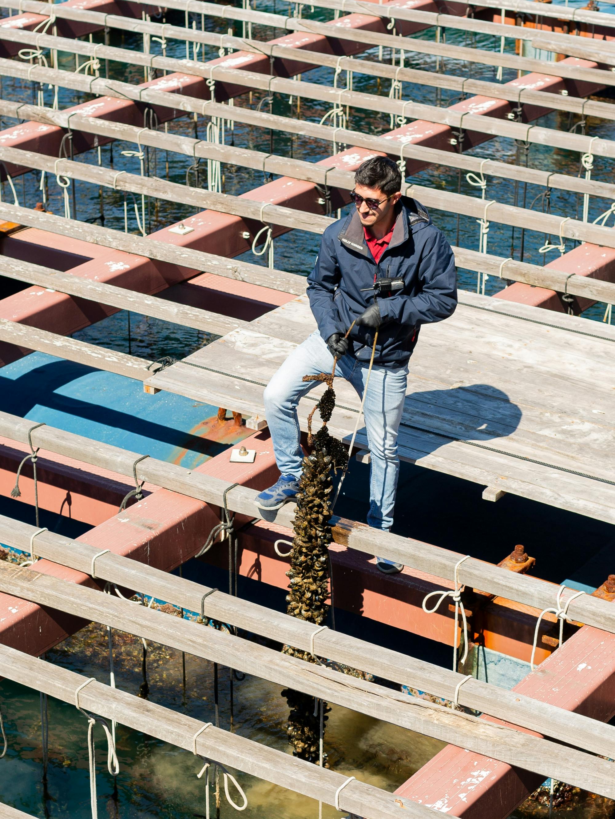 Passeio de catamarã pela costa valenciana com mexilhões e vinho branco