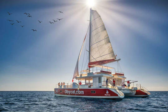 Gran Canaria OBY catamaran leisure cruise