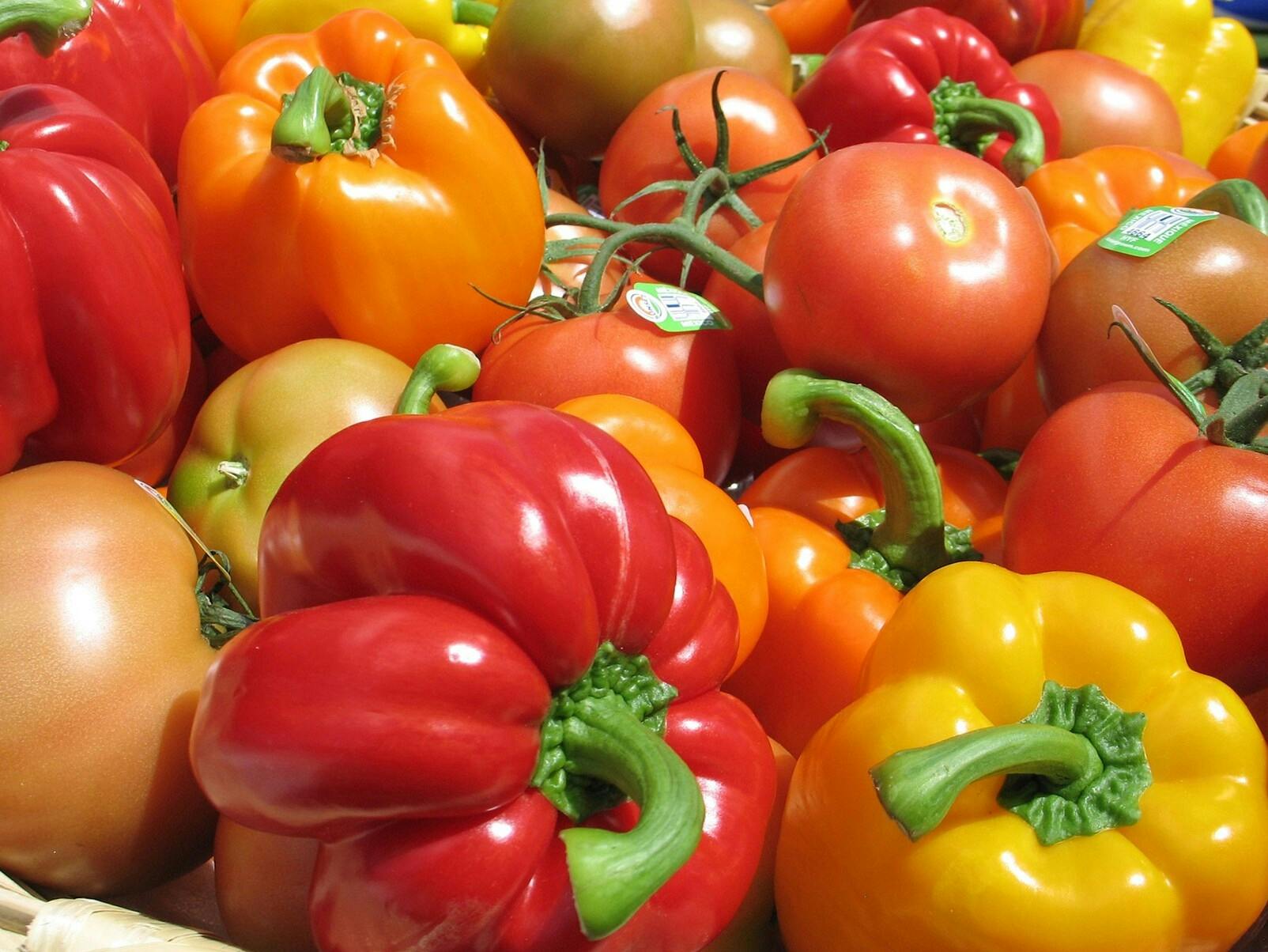 Clisol Turismo Agrícola visit