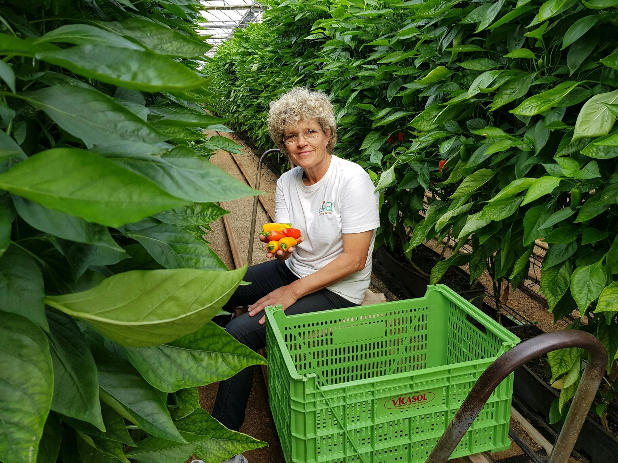 Clisol Turismo Agrícola visit