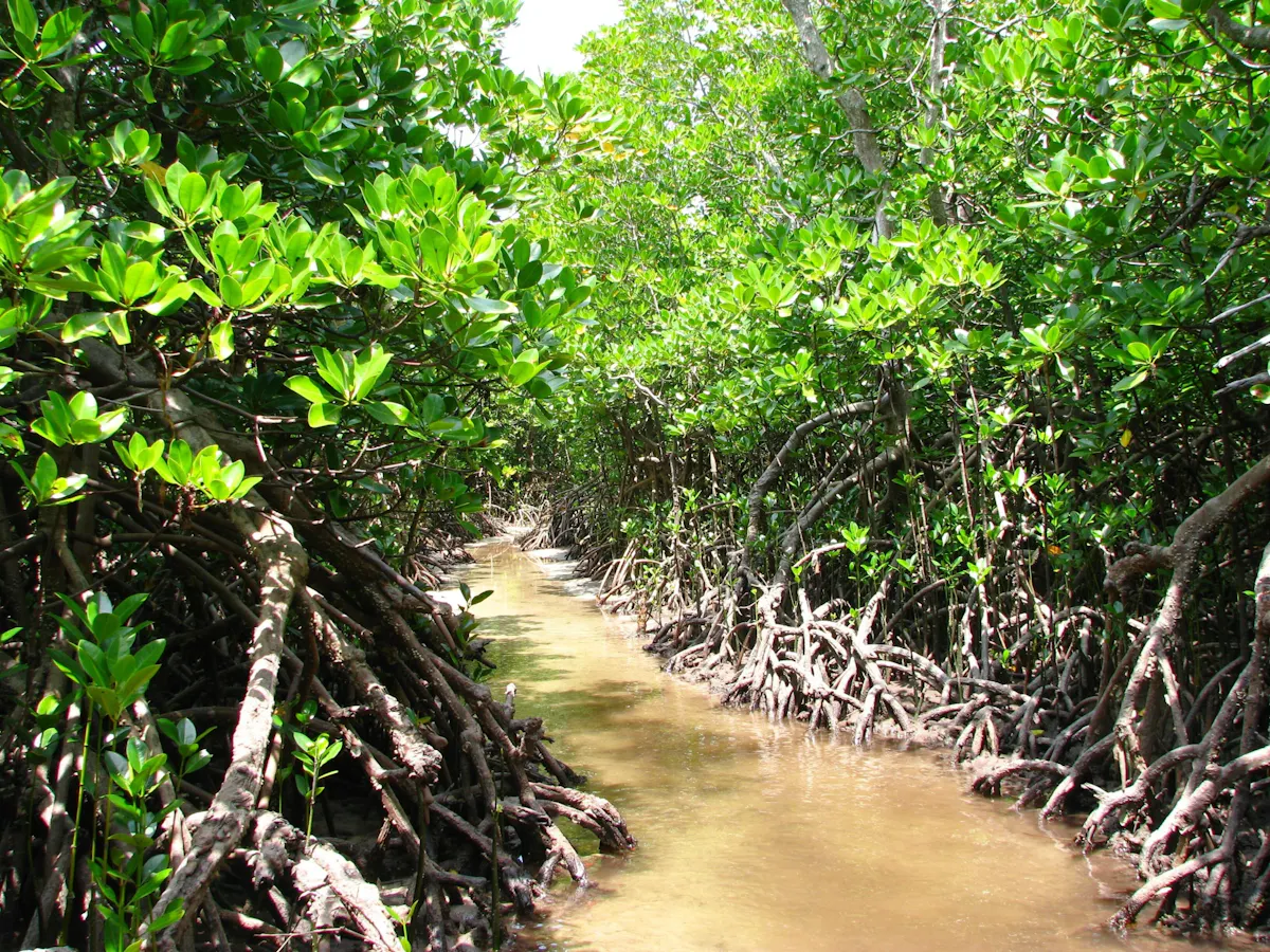 Zanzibar Uzi Island, cave and village adventure private tour