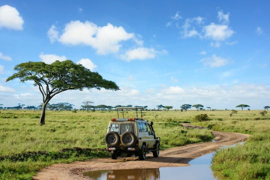 Safari privado de 4 dias no Serengeti e na cratera de Ngorongoro a partir de Zanzibar