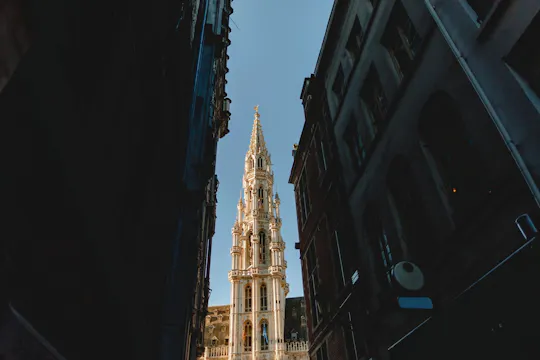 Entrada no Museu Banksy e visita áudio aos destaques de Bruxelas
