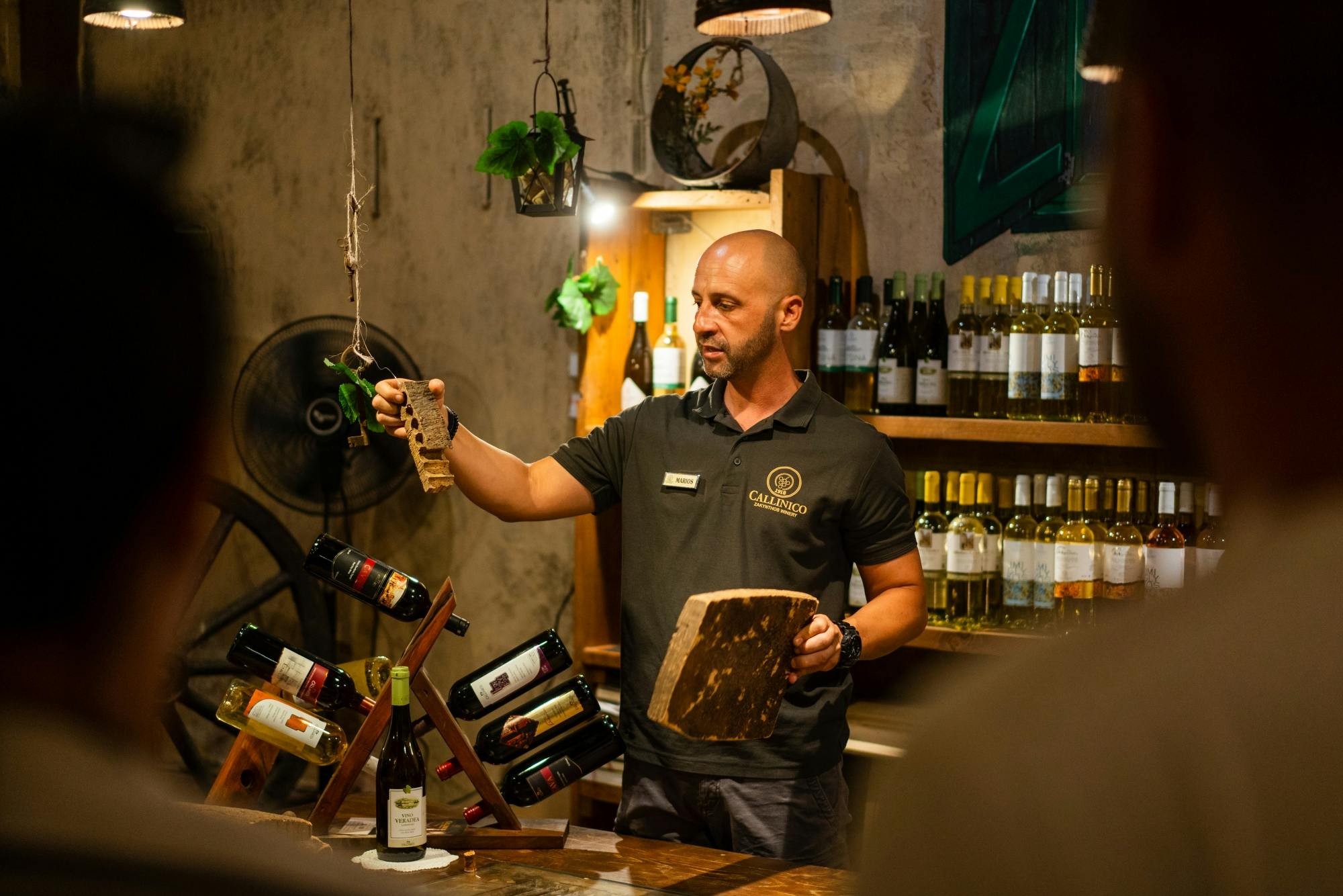 Zante tour with Blue Caves boat trip and wine-tasting