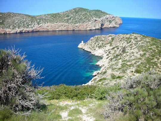 Excursão de dia inteiro a Cabrera a partir de Maiorca