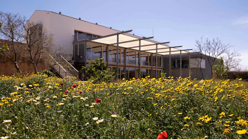 Majorca almond blossom tour with cake tasting