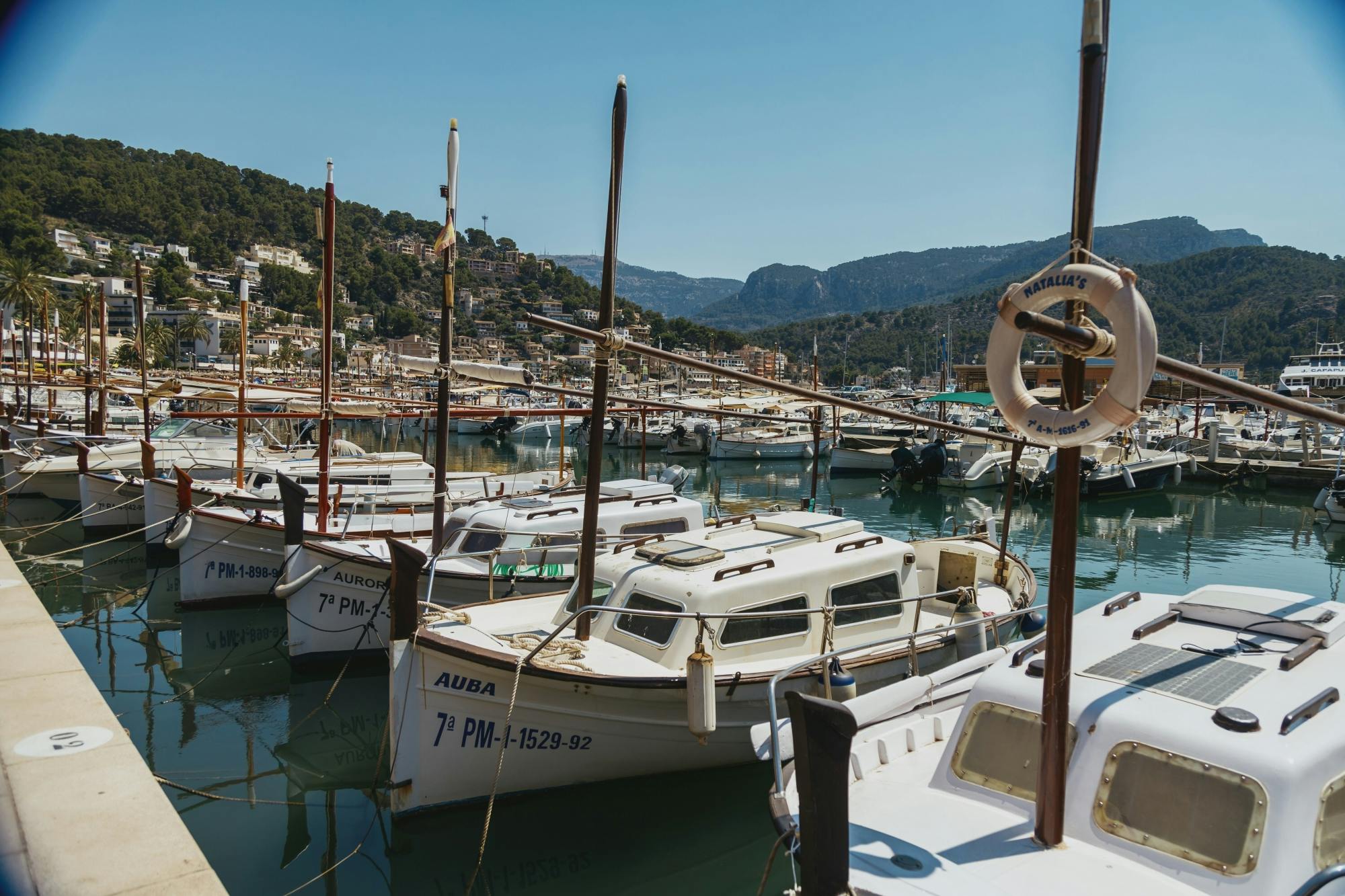 Soller Harbour 2026 solar eclipse cruise