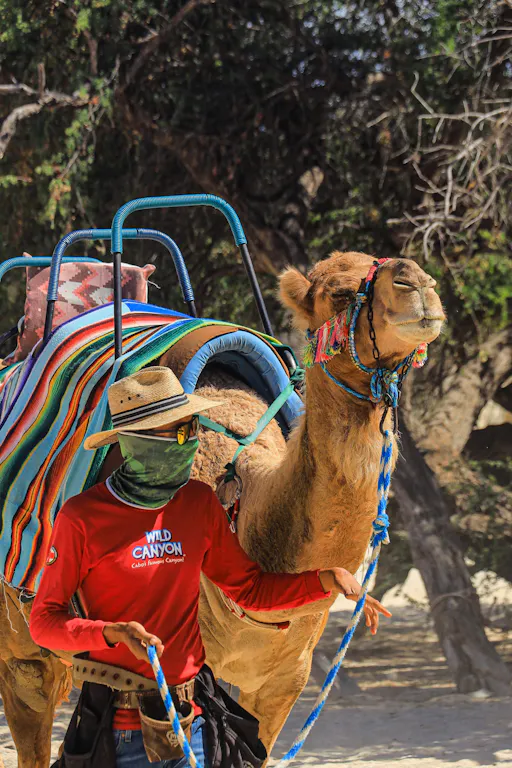 Wild Canyon Adventures park pass in Los Cabos