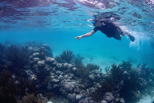 Koraalrif vanaf de Riviera Maya snorkelen en zwemmen in een cenote grot