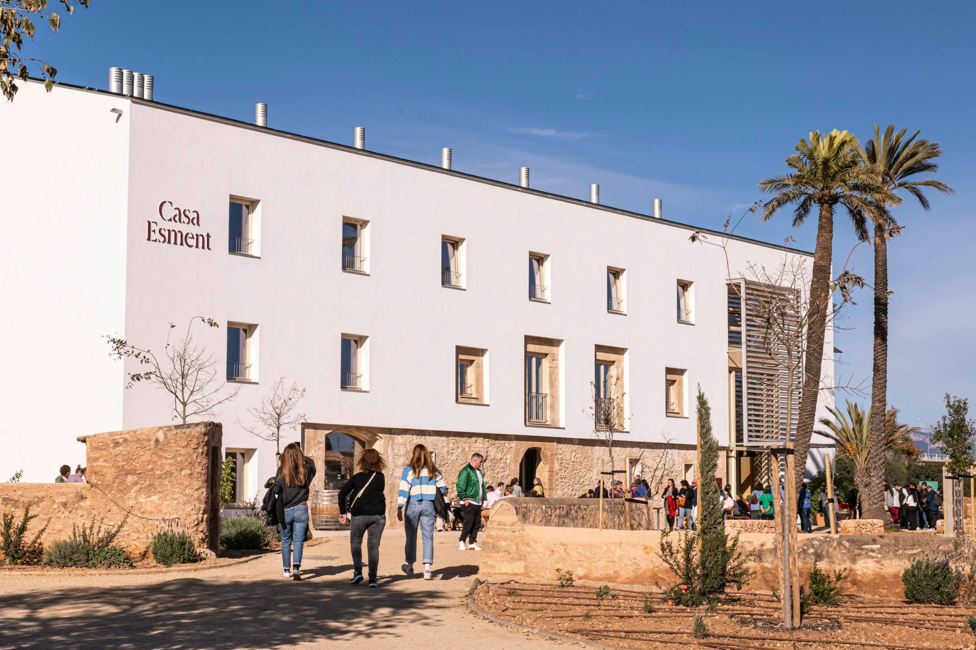 Majorca almond blossom tour with cake tasting