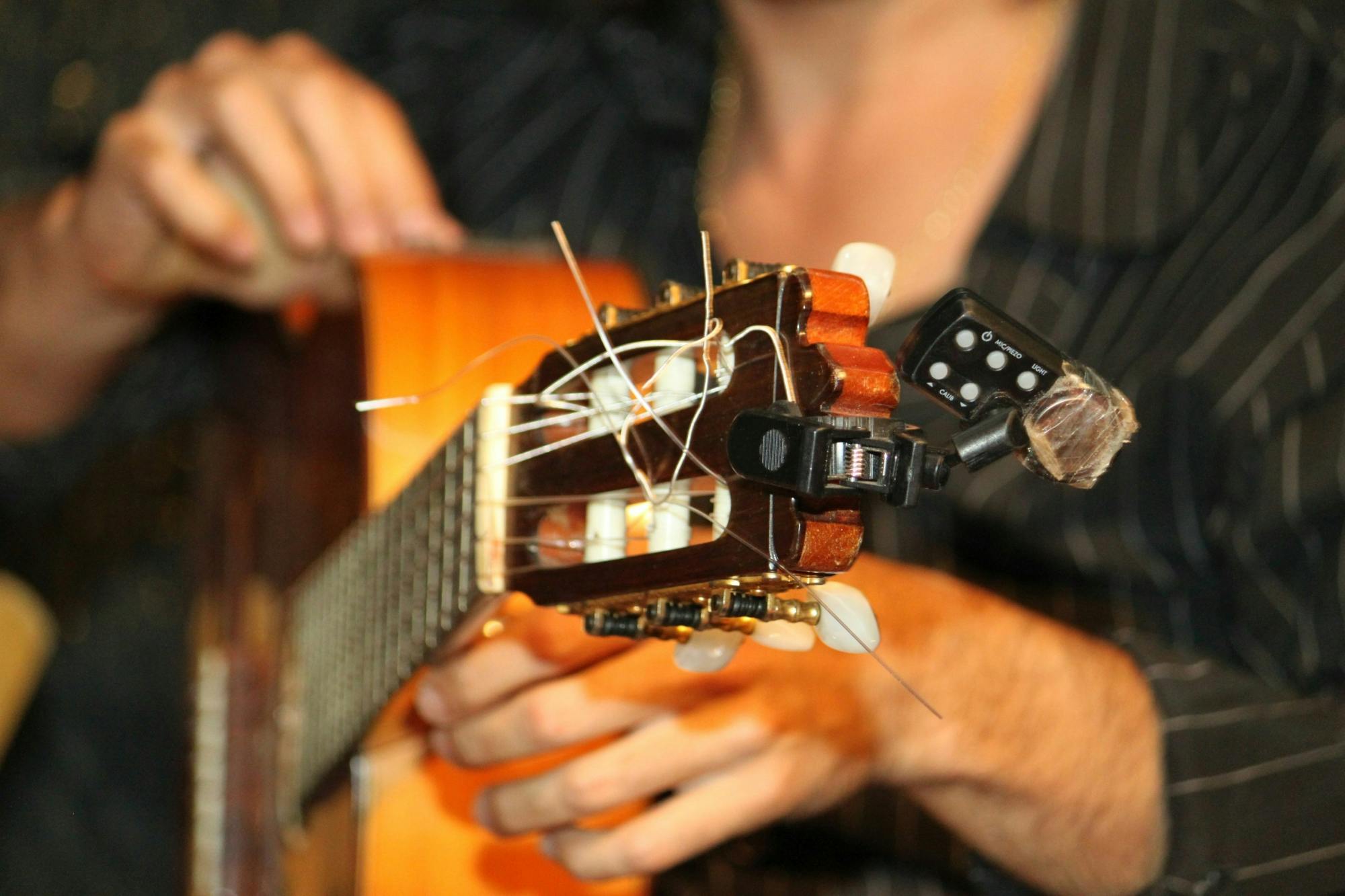 Flamenco sunset show and barbecue dinner in Marbella