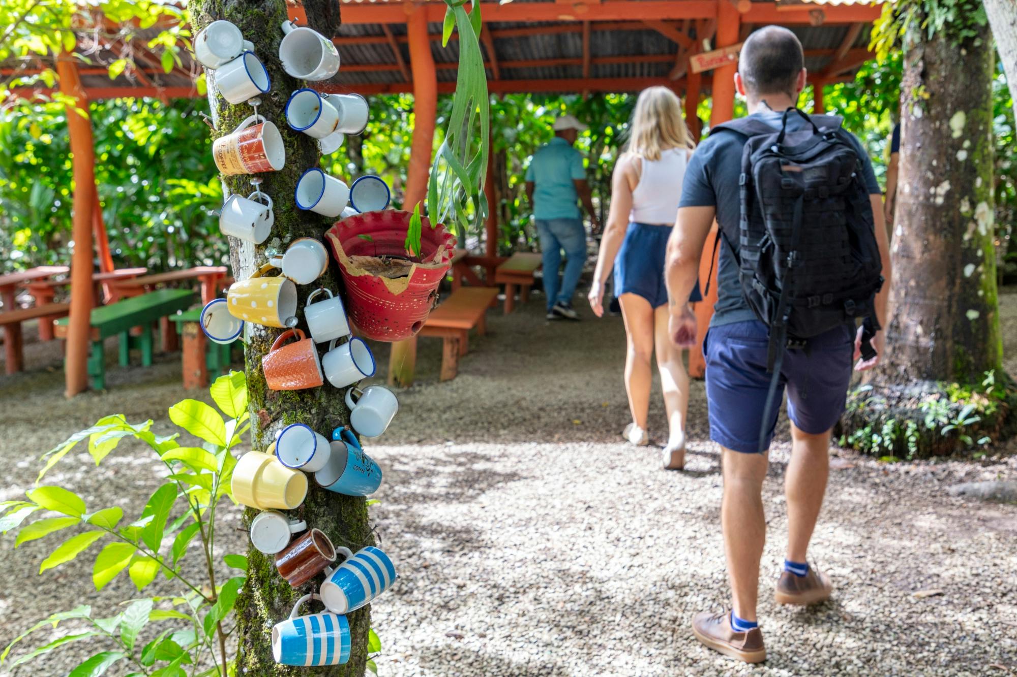 Full-day tour of Higuey with local lunch in a family home